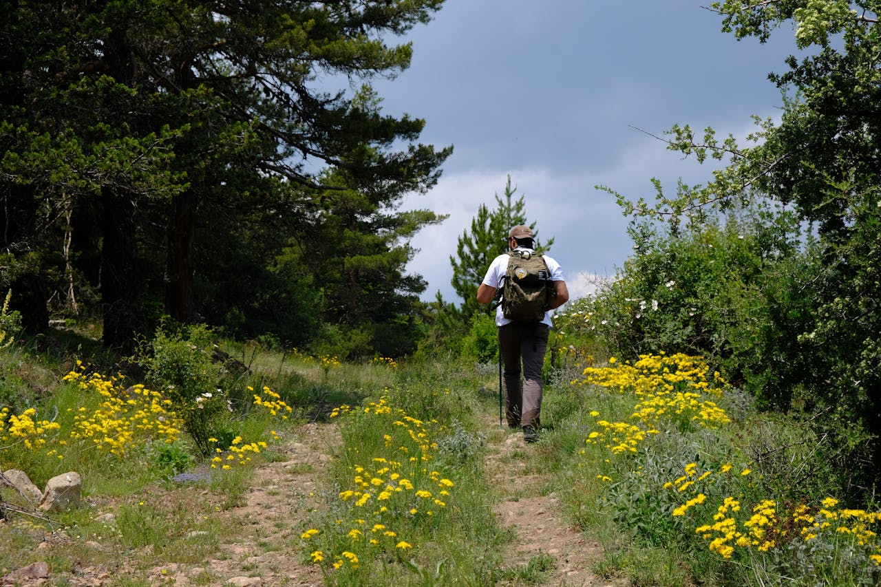 Man hiking in a lush, flowery forest trail during the day.
