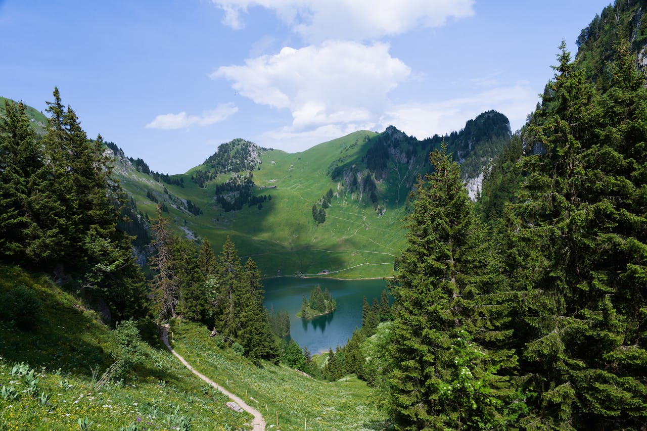 Breathtaking Swiss landscape with lush greenery, pristine lake, and majestic mountains.